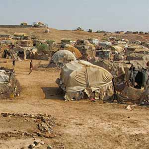 migrant camp