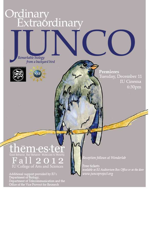 Junco flyer